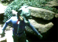 The Creature from Devil's Gorge